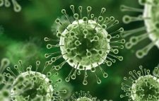 দেশে নিপাহ ভাইরাসে এক নারীর মৃত্যু