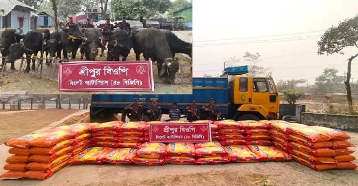 সিলেটে সীমান্তে ১ কোটি ১৭ লাখ টাকার চোরাচালানি পণ্য জব্দ