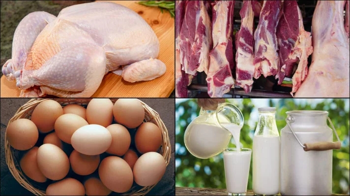 সিলেটে কম দামে যেখানে পাবেন গরুর মাংস, দুধ ও ডিম