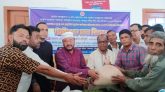 কমলগঞ্জে ১২ হাজার সুবিধাভোগীর মাঝে ভিজিএফের চাল বিতরণ