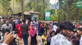 ঈদের ছুটিতে কমলগঞ্জের লাউয়াছড়ায় পর্যটকের ঢল
