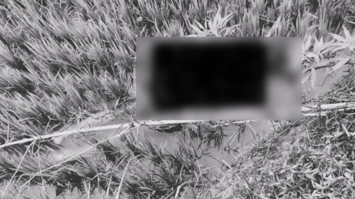 জৈন্তাপুরে ধানক্ষেত থেকে যুবকের মরদেহ উদ্ধার
