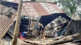 শান্তিগঞ্জে আকস্মিক ঝড়ে অর্ধশতাধিক ঘরবাড়ি ক্ষতিগ্রস্ত