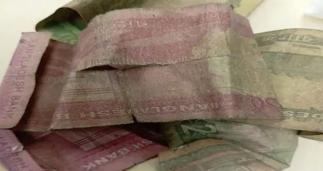 ছেঁড়া-ফাটা নোট নিয়ে কেন্দ্রীয় ব্যাংকের নতুন সিদ্ধান্ত