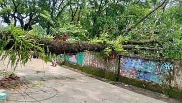 গোয়াইনঘাটে ঝড়ে ব্যাপক ক্ষতি, বজ্রপাত ও বিদ্যুৎস্পৃষ্টে নিহত ২