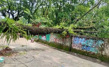 গোয়াইনঘাটে ঝড়ে ব্যাপক ক্ষতি, বজ্রপাত ও বিদ্যুৎস্পৃষ্টে নিহত ২