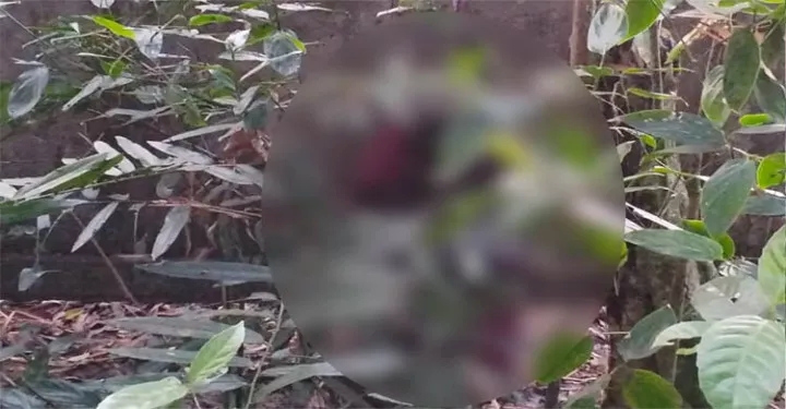 বিশ্বনাথে জঙ্গলে মিলল নিখোঁজ তরুণীর মরদেহ