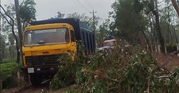 হবিগঞ্জে কালবৈশাখী ঝড়ের আঘাত, লন্ডভন্ড ঘরবাড়ি