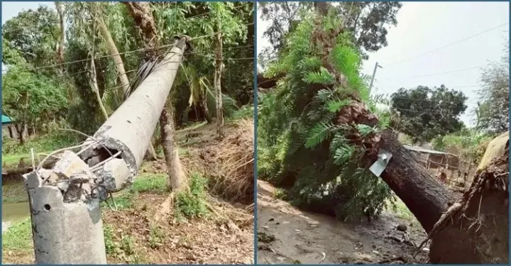 মৌলভীবাজারে কালবৈশাখীর তাণ্ডব, জেলা জুড়ে বিদ্যুৎ বিপর্যয়