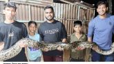 খাবারের সন্ধানে ১৪ ফুট লম্বা অজগর সাপ লোকালয়ে, লাউয়াছড়ায় অবমুক্ত
