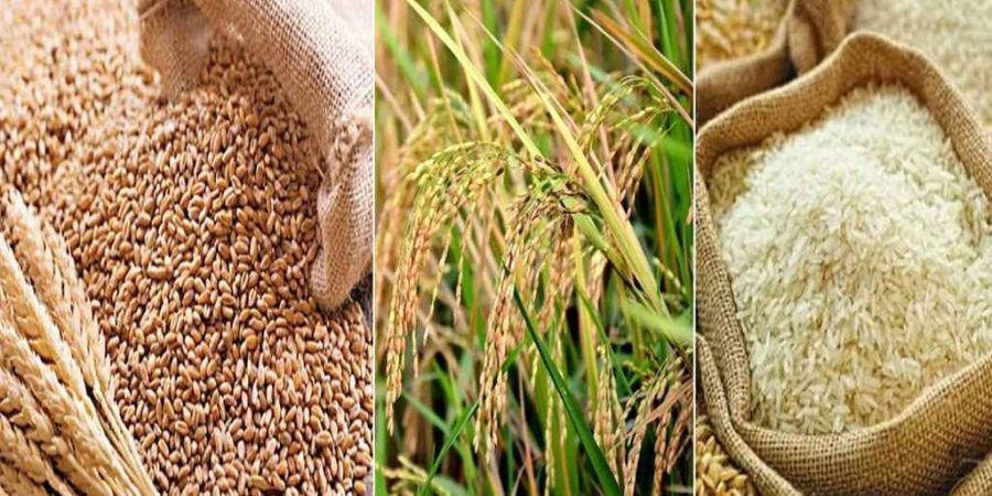 বোরো মৌসুমের ধান-চাল-গমের সংগ্রহ মূল্য নির্ধারণ