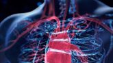 হৃদরোগের ঝুঁকি ৫ বছর আগেই শনাক্ত করবে এআই