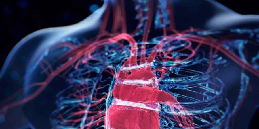 হৃদরোগের ঝুঁকি ৫ বছর আগেই শনাক্ত করবে এআই