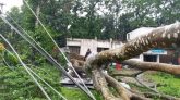 কমলগঞ্জে কালবৈশাখী ঝড়ে লন্ডভন্ড, ভেঙ্গে পড়েছে ১৭টি বিদ্যুতের খুঁটি