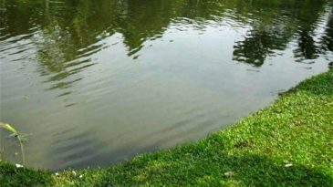 বড়লেখায় পুকুরে ডুবে শিশুর মৃত্যু