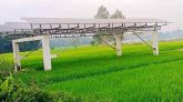 সৌরবিদ্যুতের মাধ্যমে সেচ: এক মৌসুমে সাশ্রয় ৭৫ লাখ লিটার ডিজেল
