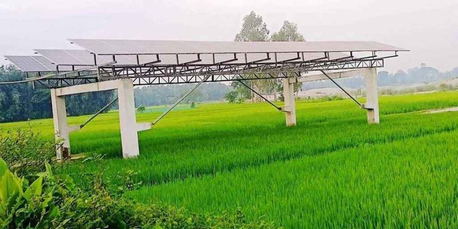 সৌরবিদ্যুতের মাধ্যমে সেচ: এক মৌসুমে সাশ্রয় ৭৫ লাখ লিটার ডিজেল