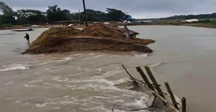 সুনামগঞ্জে হাওরের বাঁধ ভেঙে তলিয়ে গেছে জমির ফসল