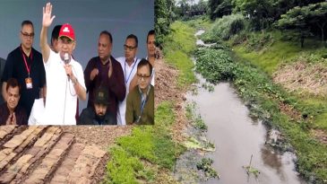 সিলেটের বাসিয়া নদীর দুই তীরে লাগানো হবে অর্ধলক্ষ গাছ