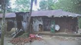 কানাইঘাটে প্রবাসীর বাড়িতে হামলা, অন্তঃসত্ত্বা নারীসহ আহত ১৫