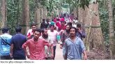 ঈদের টানা ছুটিতে কমলগঞ্জের লাউয়াছড়ায় পর্যটকদের ঢল