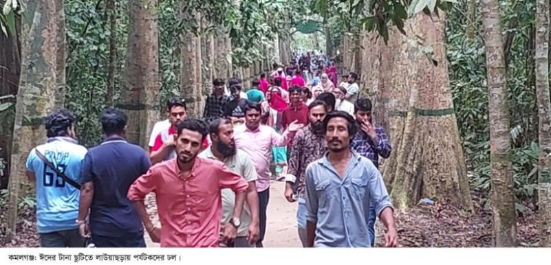 ঈদের টানা ছুটিতে কমলগঞ্জের লাউয়াছড়ায় পর্যটকদের ঢল