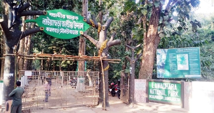 ঈদের টানা ছুটিতে পর্যটকদের বরণে প্রস্তুত কমলগঞ্জ