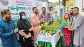 “সিলেটের ছাদ কৃষি” গ্রুপের গেট টুগেদার ও বৃক্ষ বিতরণ
