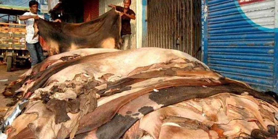 এবার সুনামগঞ্জে কুরবানীর চামড়া সংগ্রহ না করার ঘোষণা!