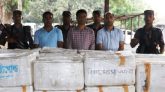 যশোরে বিষাক্ত জেলি পুশ করা ১১০০ কেজি চিংড়ি মাছ জব্দ