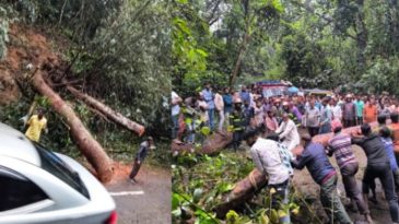 মৌলভীবাজারে সাড়ে ৫ ঘণ্টা পর সচল সড়ক