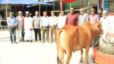 হযরত শাহজালাল (রহ.) মাজারে প্রধানমন্ত্রীর উপহার হস্তান্তর করলেন সিসিক প্রশাসক