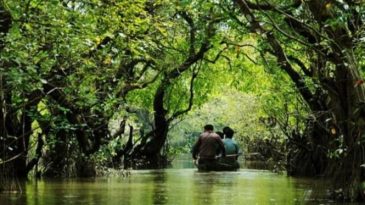 পর্যটক বরণে প্রস্তুত সিলেটের জাফলং-রাতারগুল