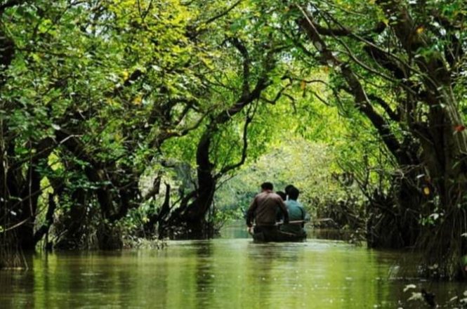 পর্যটক বরণে প্রস্তুত সিলেটের জাফলং-রাতারগুল