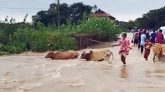 পাহাড়ি ঢলে সুনামগঞ্জ-তাহিরপুর সড়ক যোগাযোগ বিচ্ছিন্ন
