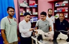 বগুড়ায় কুকুর নির্যাতনের অভিযোগে ব্যবসায়ীর বিরুদ্ধে মামলা