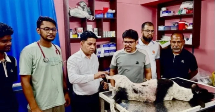 বগুড়ায় কুকুর নির্যাতনের অভিযোগে ব্যবসায়ীর বিরুদ্ধে মামলা