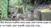 লাউয়াছড়া জাতীয় উদ্যানে গাছ পাচারের অভিযোগ, তদন্তের আশ্বাস ইউএনও’র
