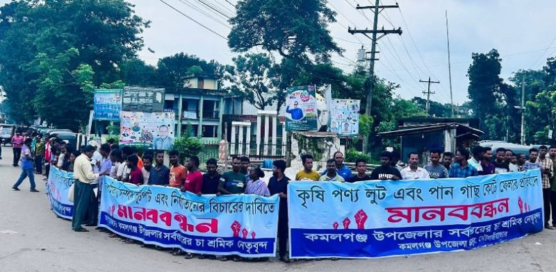 কমলগঞ্জে চা শ্রমিকদের কৃষিপণ্য লুট ও পান গাছ কাটার প্রতিবাদে মানববন্ধন