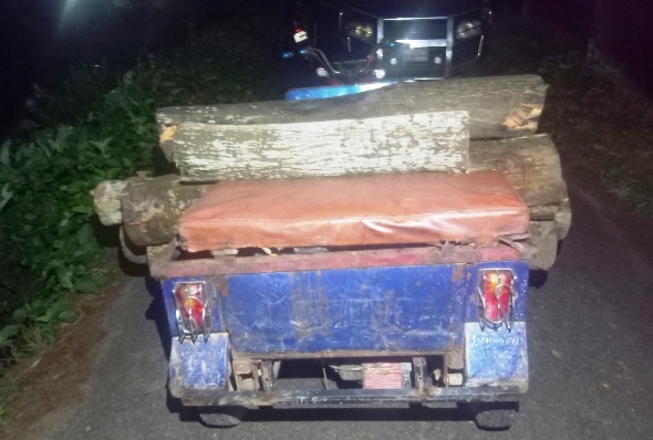 কমলগঞ্জে কালাছড়া বনবিটে রাতের আঁধারে বৃক্ষ নিধন ও পাচার, হুমকির মুখে পরিবেশ
