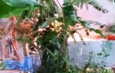 কিশোরীকে ধর্ষণ-হত্যার জেরে আসামিদের বাড়িতে আগুন, নিহত ৩