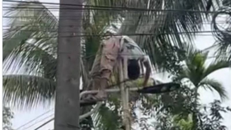 সিলেটে বিদ্যুৎস্পৃষ্টে আহত ব্রাজিল সমর্থককে ঢাকায় প্রেরণ