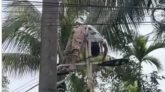সিলেটে পর্তুগালের পতাকা টানাতে গিয়ে বিদ্যুৎস্পৃষ্টে কিশোর আহত, আইসিইউতে ভর্তি