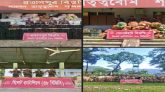 সিলেট সীমান্তে ৮৫ লাখ টাকার ভারতীয় চোরাচালানি মালামাল ও পশু জব্দ