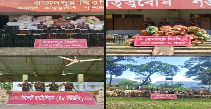 সিলেট সীমান্তে ৮৫ লাখ টাকার ভারতীয় চোরাচালানি মালামাল ও পশু জব্দ