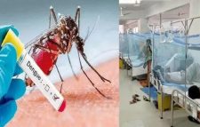 সিলেটে আরও ৪ ডেঙ্গুরোগী শনাক্ত, হাসপাতালে ৬