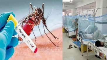 সিলেটে আরও ৪ ডেঙ্গুরোগী শনাক্ত, হাসপাতালে ৬