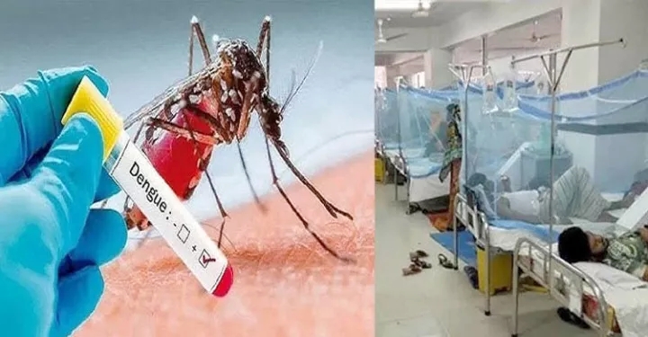 সিলেটে আরও ৪ ডেঙ্গুরোগী শনাক্ত, হাসপাতালে ৬