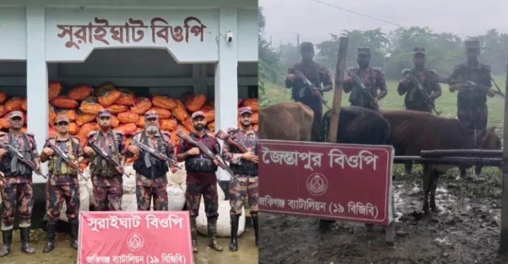 সিলেট সীমান্তে অর্ধকোটি টাকার ভারতীয় চোরাচালানি পণ্য জব্দ