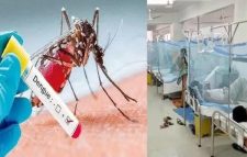 চলতি বছর ডেঙ্গুতে প্রাণহানি ৪০, এক দিনে হাসপাতালে ভর্তি ৪৩৯